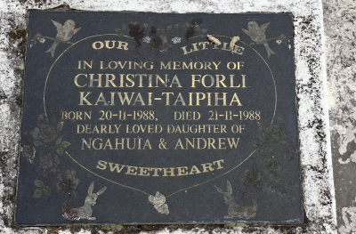 Picture of Taruheru cemetery, block SEC1, plot 422B.