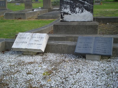 Picture of Taruheru cemetery, block SEC1, plot 463.