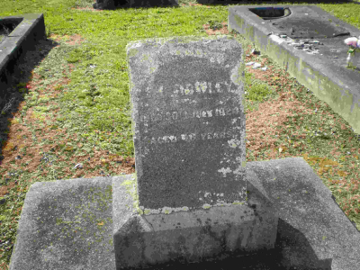 Picture of TARUHERU cemetery, block SEC2, plot 810.
