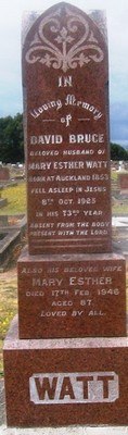 Picture of Taruheru cemetery, block SEC3, plot 1049.