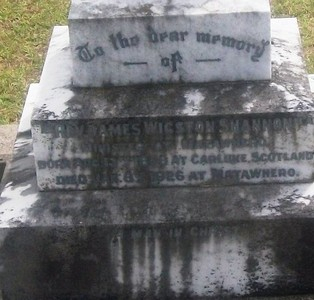 Picture of Taruheru cemetery, block SEC3, plot 1079.