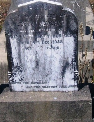 Picture of Taruheru cemetery, block SEC3, plot 1342.