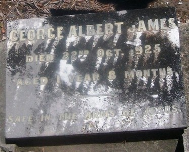 Picture of TARUHERU cemetery, block SEC3, plot 910.