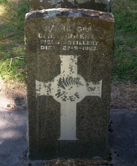 Picture of Taruheru cemetery, block S, plot 15.