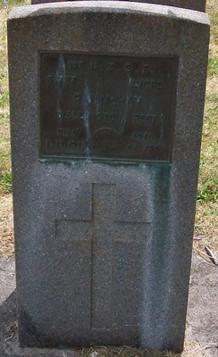 Picture of TARUHERU cemetery, block S, plot 158.