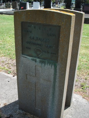 Picture of Taruheru cemetery, block S, plot 20.