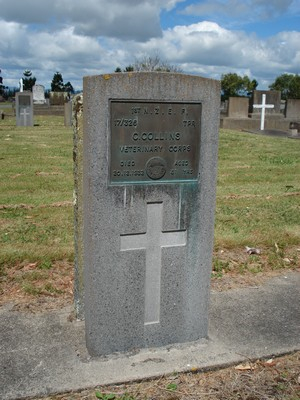 Picture of Taruheru cemetery, block S, plot 51.