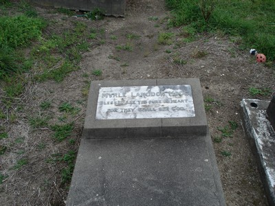 Picture of TE PUIA cemetery, block TP10, plot 181.