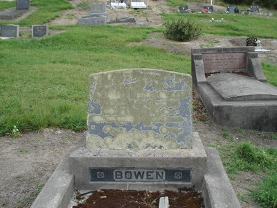 Picture of TE PUIA cemetery, block TP10, plot 184.