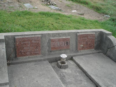 Picture of TE PUIA cemetery, block TP11, plot 202.