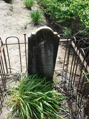 Picture of TE PUIA cemetery, block TP17, plot 273.