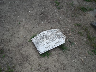 Picture of TE PUIA cemetery, block TP5, plot 82.