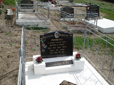 Picture of Te Puia cemetery, block TP5, plot 96.