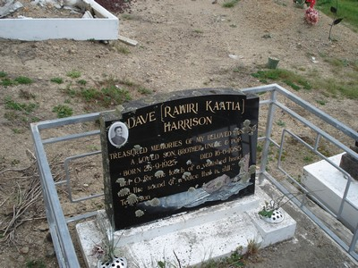 Picture of Te Puia cemetery, block TP6, plot 109.