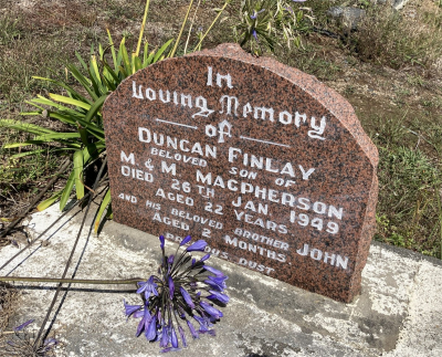 Picture of Te Puia cemetery, block TP6, plot 113.