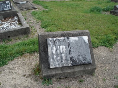 Picture of TE PUIA cemetery, block TP8, plot 156.