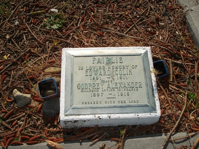 Picture of Tokomaru Bay cemetery, block TKC, plot 55.