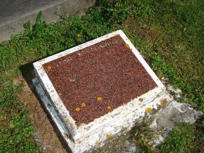 Picture of Tokomaru Bay cemetery, block TKF, plot 33A.