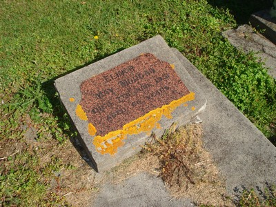 Picture of TOKOMARU BAY cemetery, block TKG, plot 67.