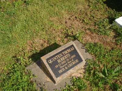 Picture of TOKOMARU BAY cemetery, block TKG, plot 81.