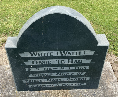 Picture of TOKOMARU BAY cemetery, block TKM, plot 207.