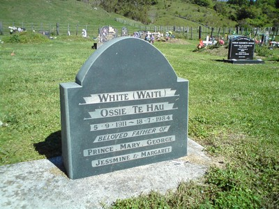Picture of TOKOMARU BAY cemetery, block TKM, plot 207.