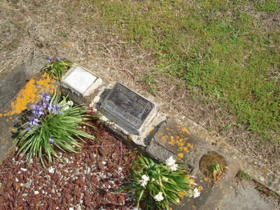 Picture of TOLAGA BAY cemetery, block TOL10, plot 9.