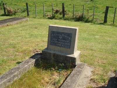 Picture of TOLAGA BAY cemetery, block TOL7, plot 4.