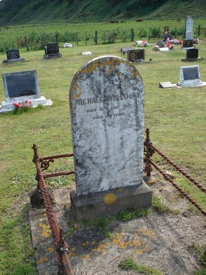 Picture of TOLAGA BAY cemetery, block TOLA, plot 2.