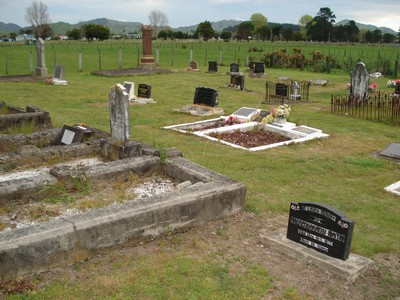 Picture of TOLAGA BAY cemetery, block TOLA, plot 8.