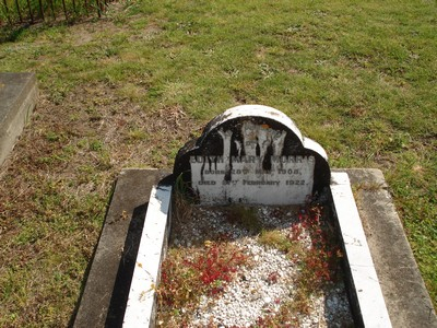 Picture of TOLAGA BAY cemetery, block TOLB, plot 9.