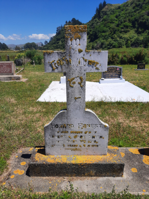 Picture of TOLAGA BAY cemetery, block TOLC, plot 27.