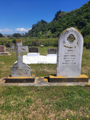 Picture of TOLAGA BAY cemetery, block TOLC, plot 27.