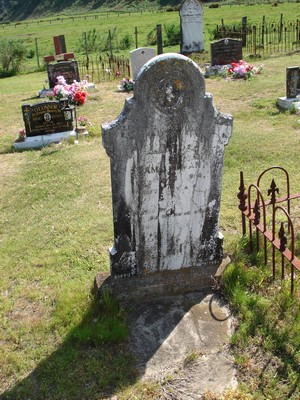 Picture of TOLAGA BAY cemetery, block TOLC, plot 9.