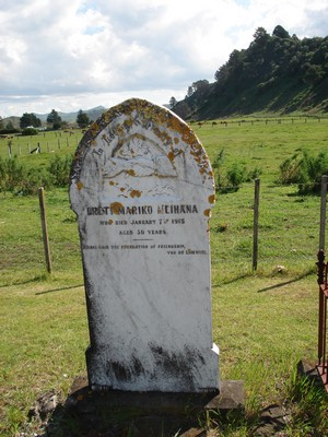 Picture of Tolaga Bay cemetery, block TOLF, plot 10.