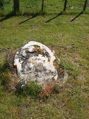 Picture of Tolaga Bay cemetery, block TOLF, plot 5.