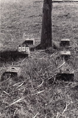 Historic picture of Makaraka cemetery, block MKB, plot 632.