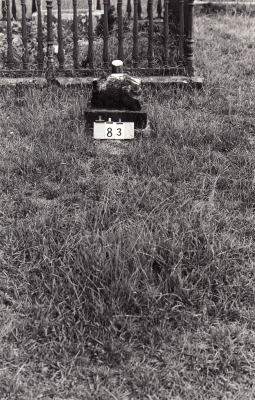 Historic picture of Makaraka cemetery, block MKB, plot 83A.