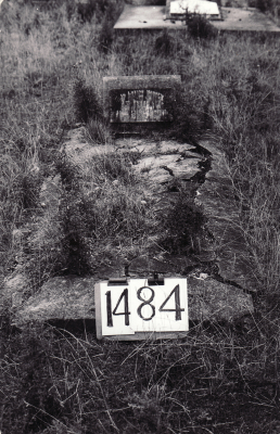 Historic picture of Makaraka cemetery, block MKE, plot 1484A.