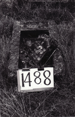 Historic picture of Makaraka cemetery, block MKE, plot 1488.