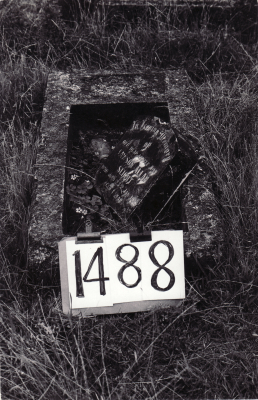 Historic picture of MAKARAKA cemetery, block MKE, plot 1488.