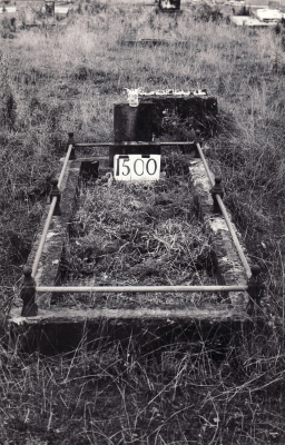 Historic picture of Makaraka cemetery, block MKE, plot 1500.