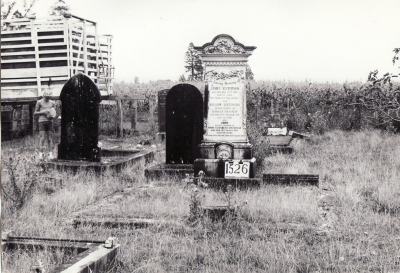 Historic picture of Makaraka cemetery, block MKE, plot 1526.