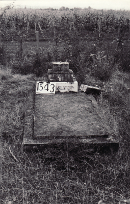 Historic picture of Makaraka cemetery, block MKE, plot 1543.