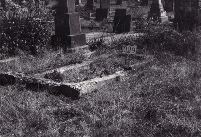 Historic picture of Makaraka cemetery, block MKF, plot 1029.