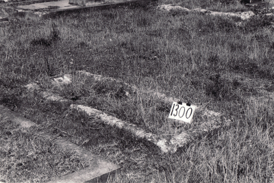 Historic picture of Makaraka cemetery, block MKF, plot 1300.