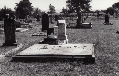 Historic picture of Makaraka cemetery, block MKF, plot 980.