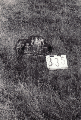 Historic picture of Makaraka cemetery, block MKG, plot 336.