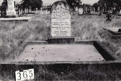 Historic picture of Makaraka cemetery, block MKG, plot 365.