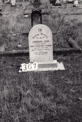 Historic picture of Makaraka cemetery, block MKG, plot 367.